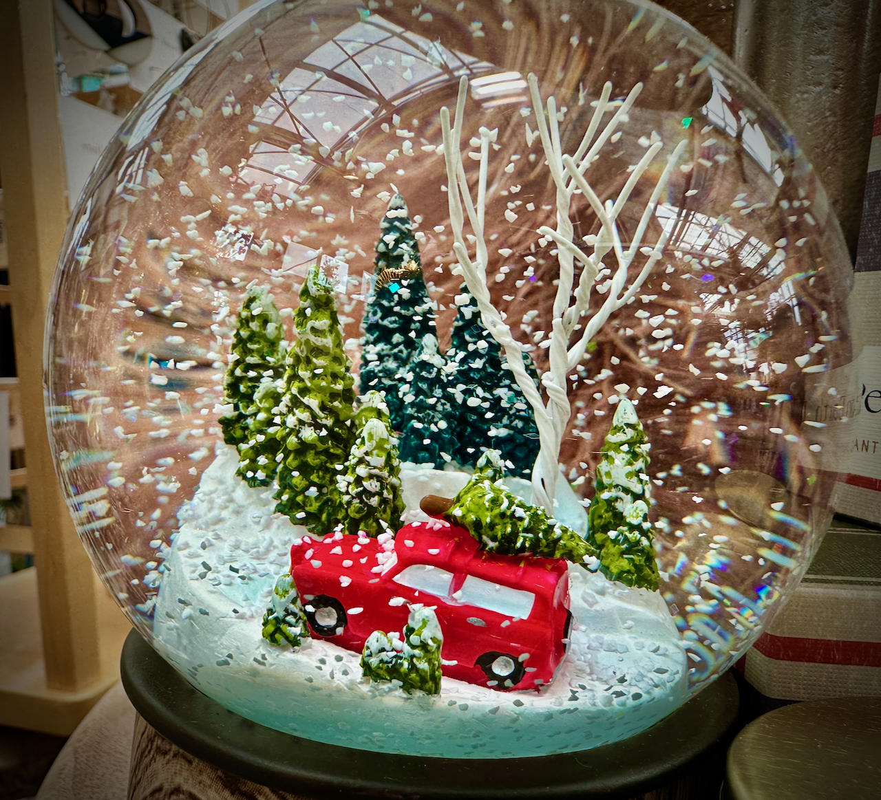 snow globe