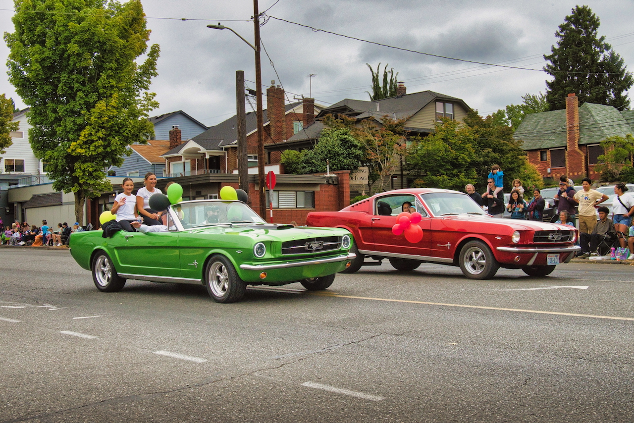 mustangs