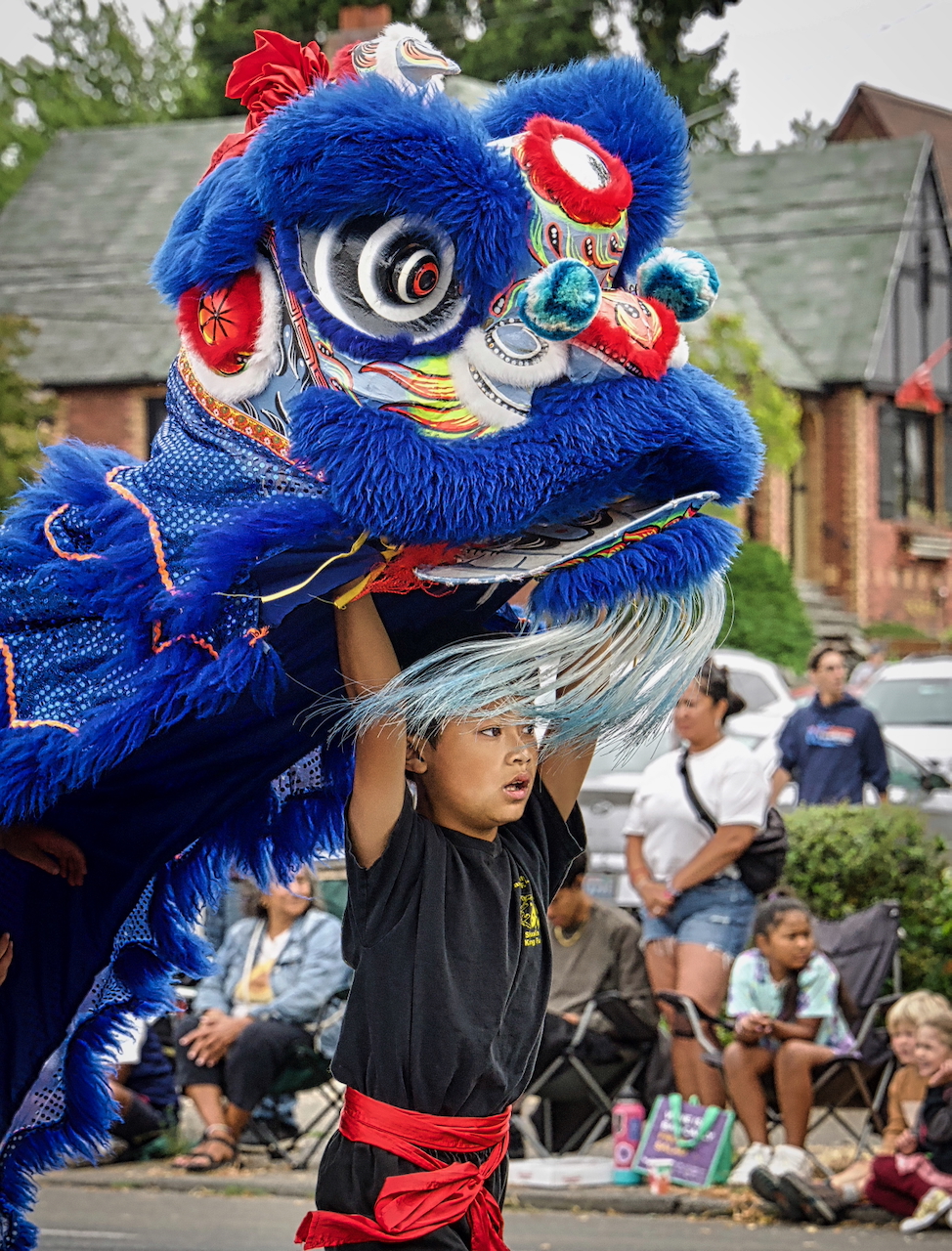 lion costume