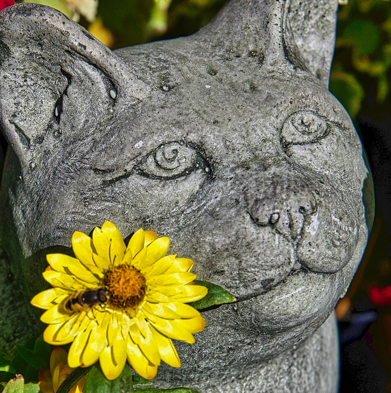cement cat and flower