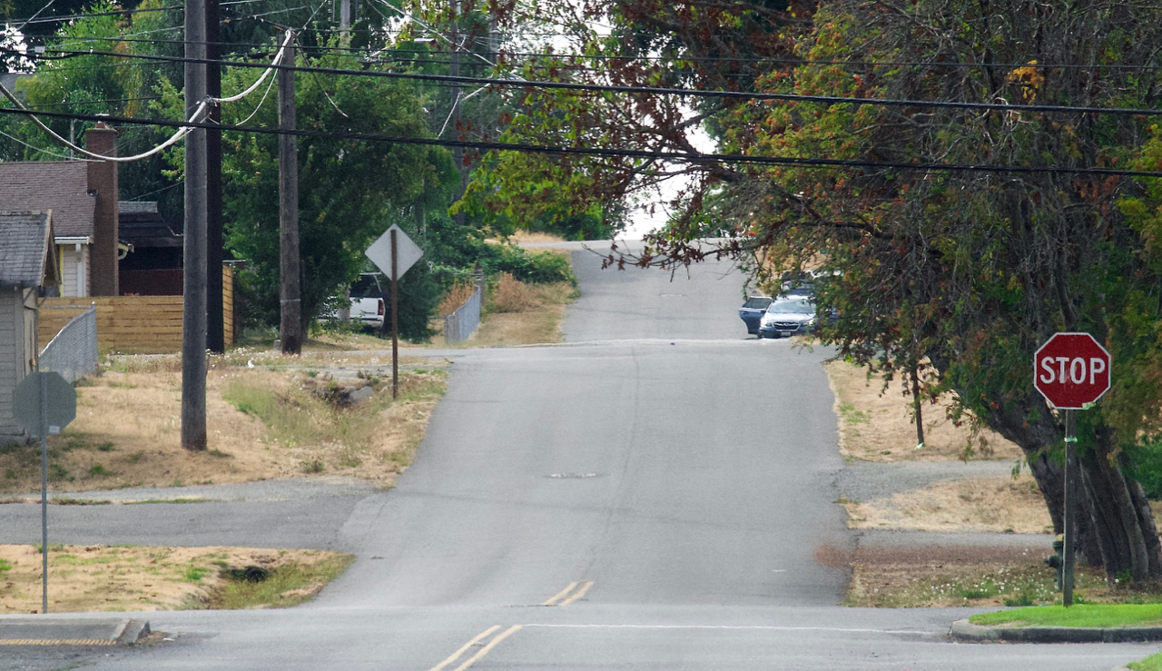 No sidewalks