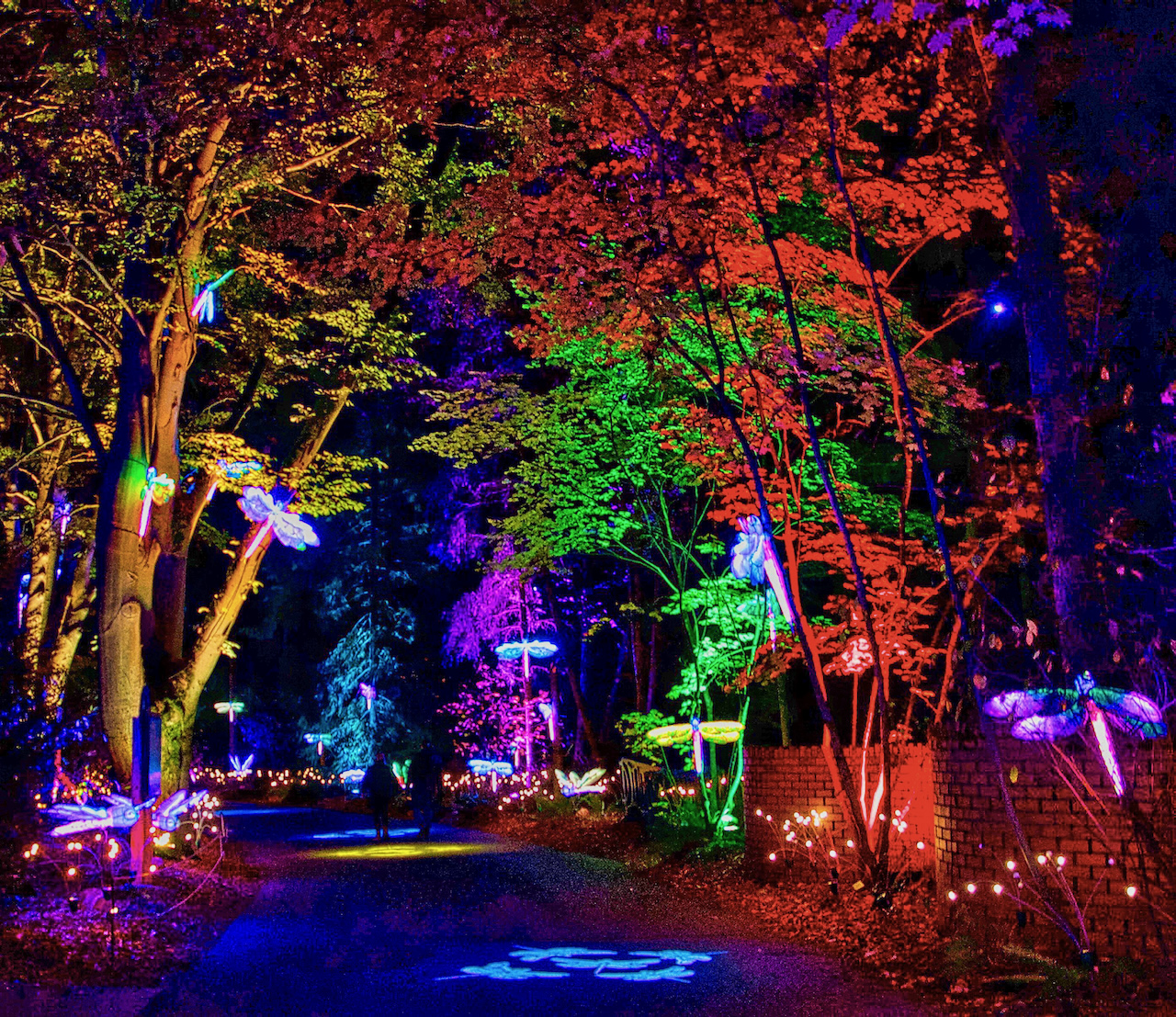 uplighting