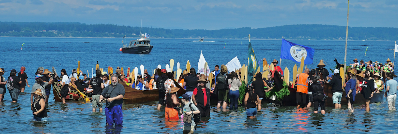 massed canoes