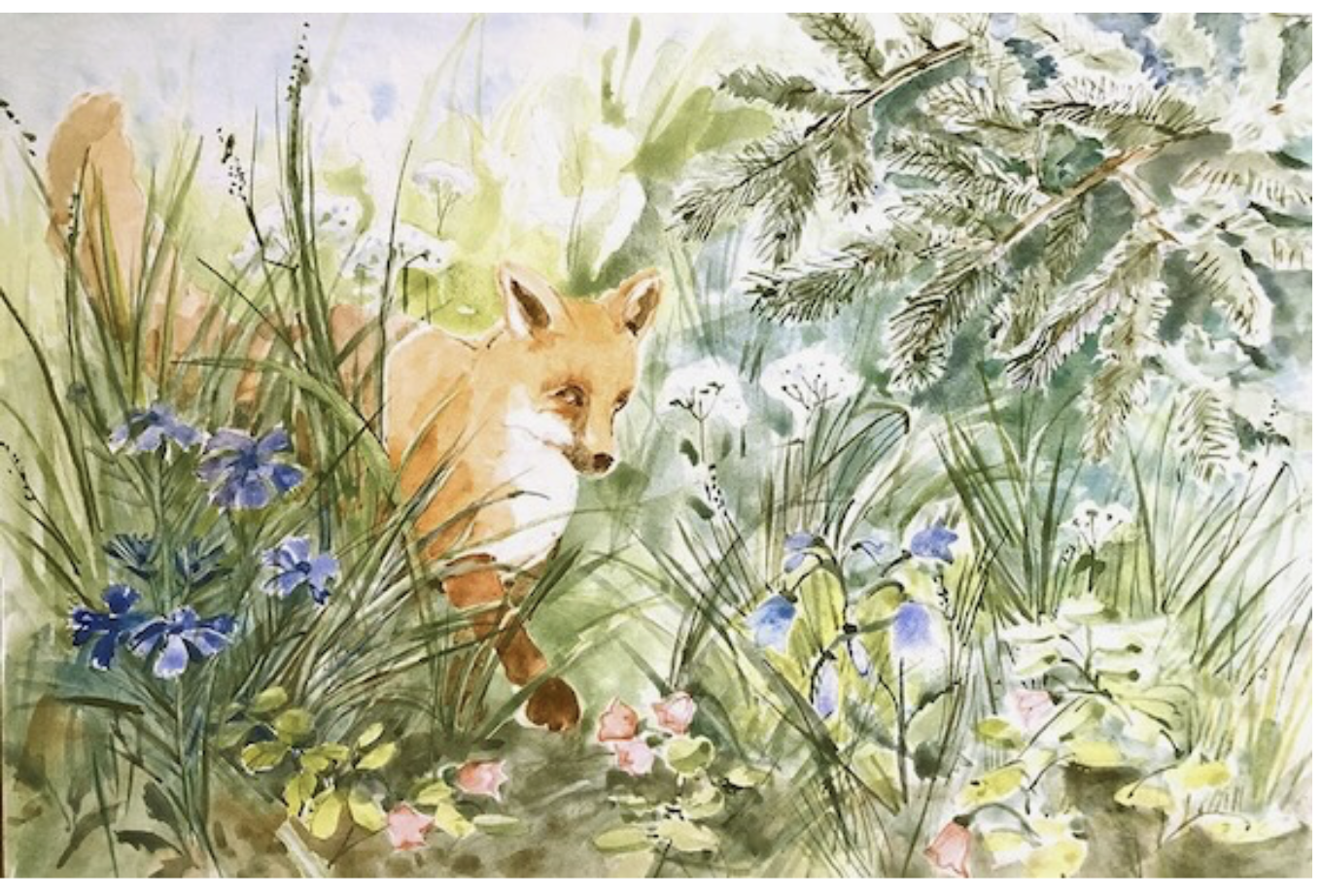 foxes