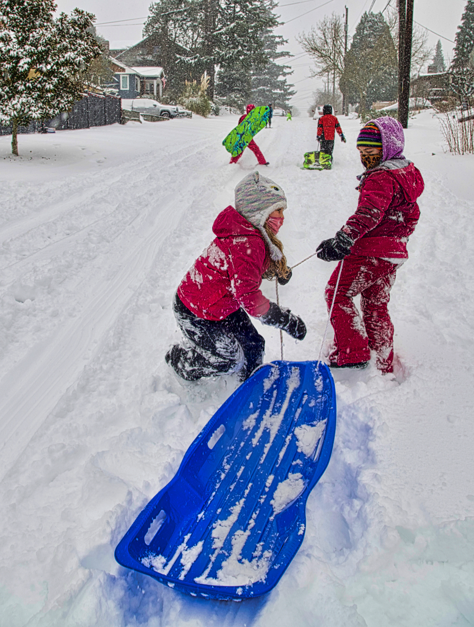 kids and sled