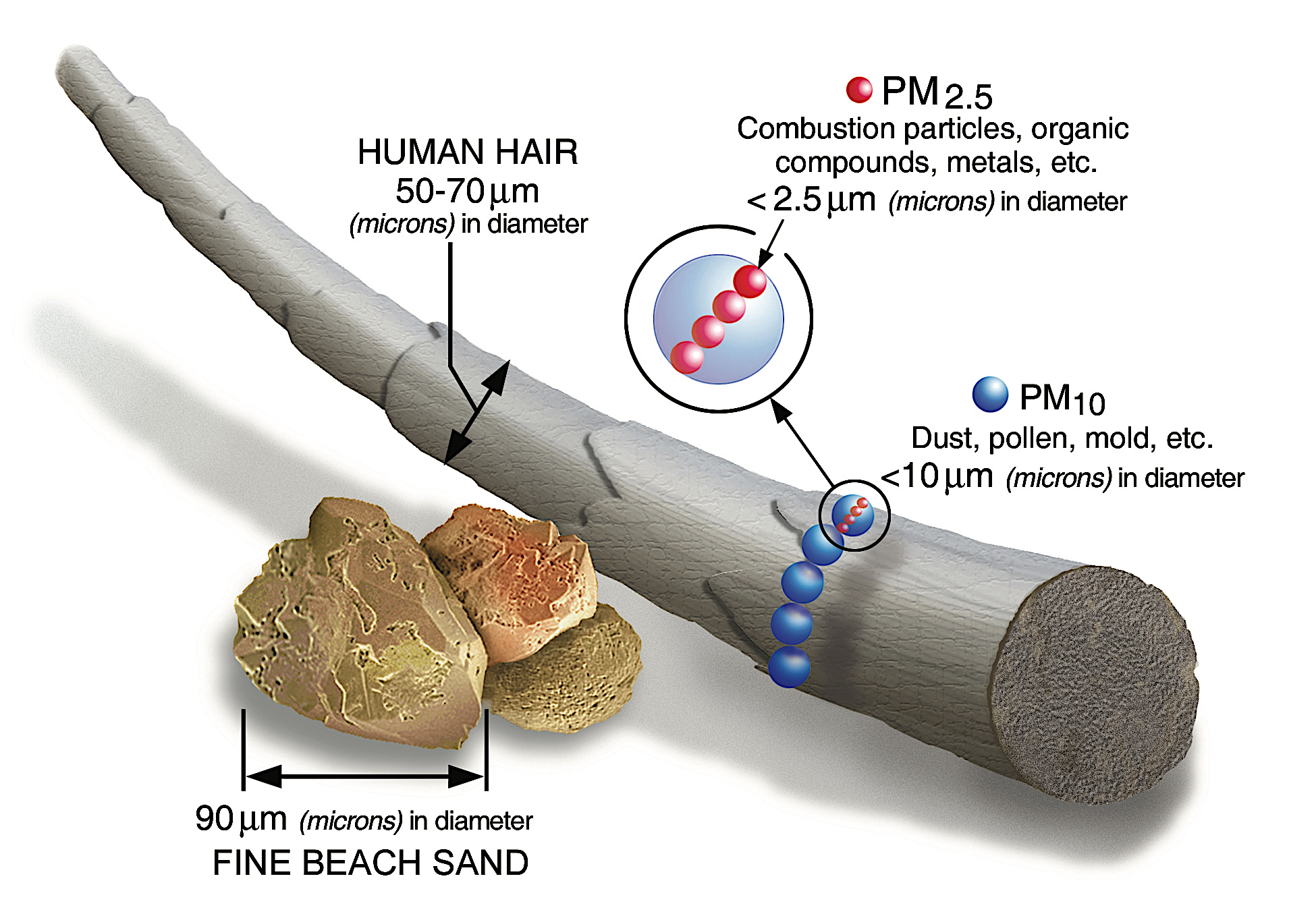 PM 2.5 graphic