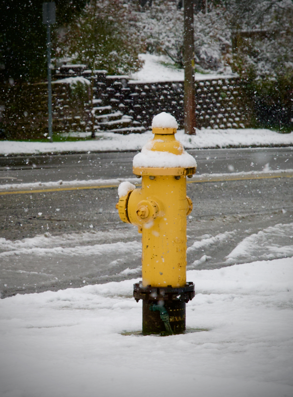 hydrant with hat