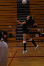 DSC_0798.JPG