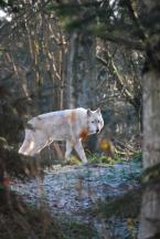 DSC_0142.JPG
