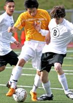 IMG_7241 5x7 300dpi.jpg