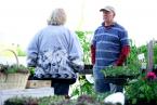Burien Farmers Market (6).jpg