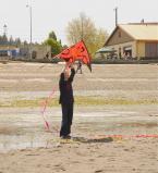 low tide-1.jpg