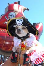 Alki Pirate landing photo-2.jpg