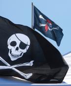 pirate3.jpg