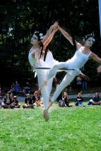 aerialists3.jpg
