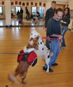 DoggyHugs.jpg