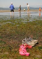 Looking back 2009, 6- Low tide photo-6.jpg