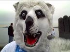 polarbear.jpg