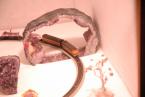gem show 2010 062.JPG