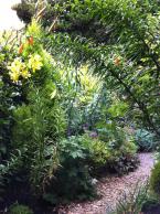 BirdTreeGarden1.jpg