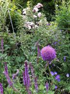 BirdTreeGarden4.jpg