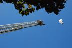 DSC_6596_2.jpg