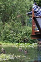 Feeding the ducks.JPG