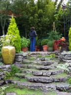 TreeloversGarden3.jpg