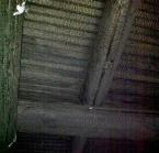ceiling.jpg