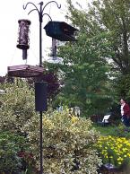 garden photo 2.JPG