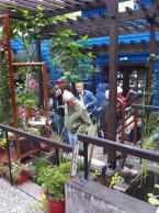 treasuregarden5.jpg