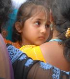 India7.jpg