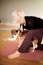 Doggy Yoga (3).jpg