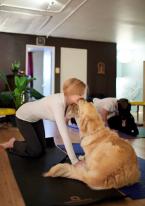 Doggy Yoga (4).jpg