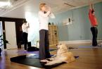 Doggy Yoga (5).jpg