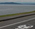 Sharrows.jpg