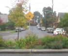 Traffic island.jpg