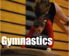 Gymnastics Logo.jpg