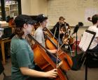 orch1.jpg