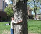 Sturdivant and the tree.jpg