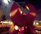 pumpkins 5.jpg