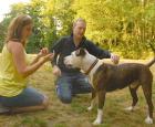 Animal adoption photo.jpg