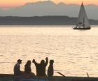 alki sunset2.jpg