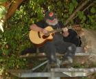 Lincoln Park guitar1.jpg