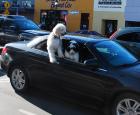 Passenger-Pooches.jpg
