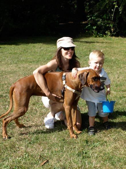 pet01.jpg