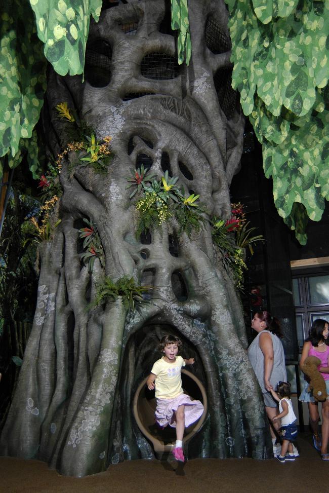 Zoomazium tree Ryan Hawk.jpg