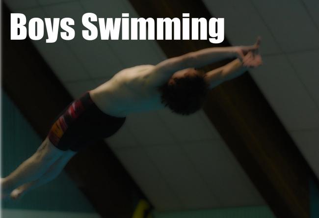 B Swimming Logo.jpg
