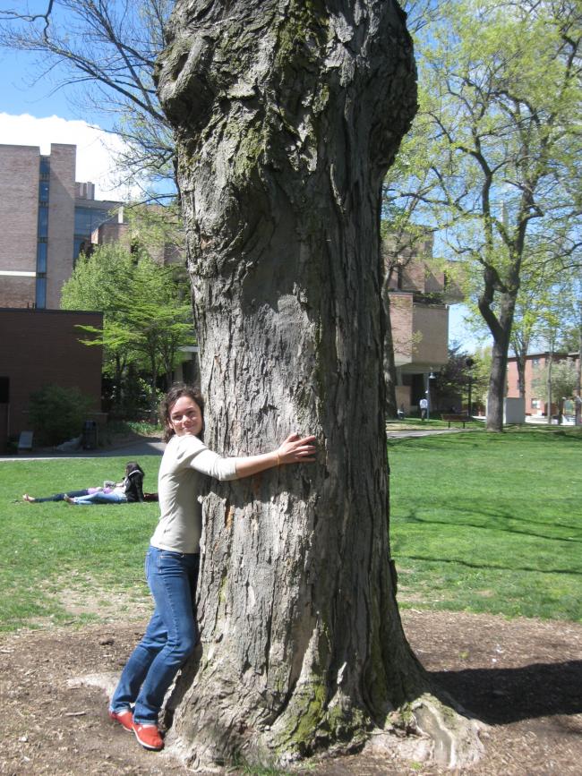 Sturdivant and the tree.jpg