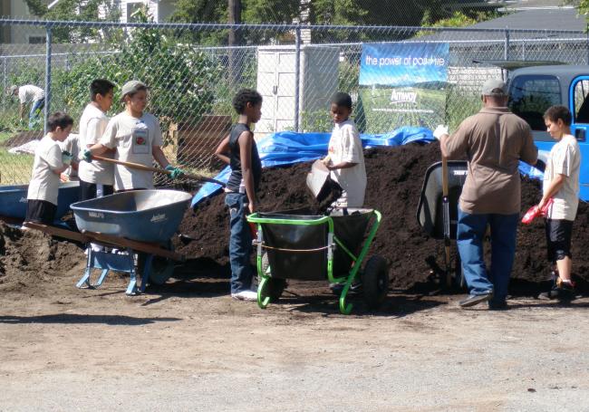 mulch pile.jpg